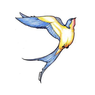 Flying Swallow Design Water Transfer Temporary Tattoo(fake Tattoo) Stickers NO.11587